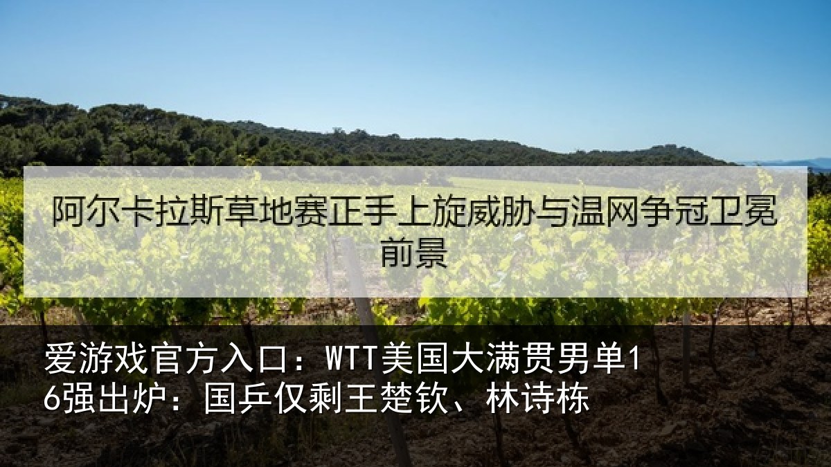 爱游戏官方入口：WTT美国相关情况：国乒相关情况
