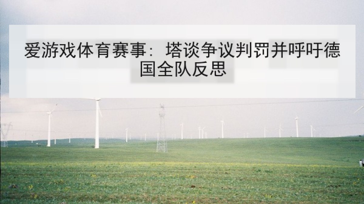 爱游戏体育赛事: 塔谈争议判罚并呼吁德国全队反思